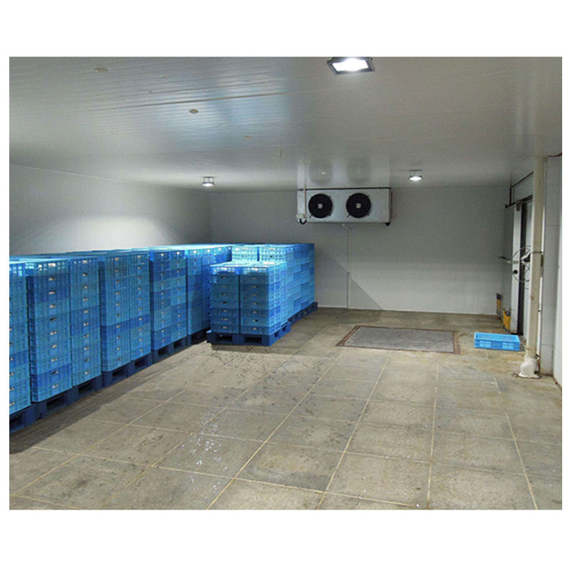 30CBM Commercial Refrigerated Walk-in Storage Small Cold Room for Fruit and Vegetable