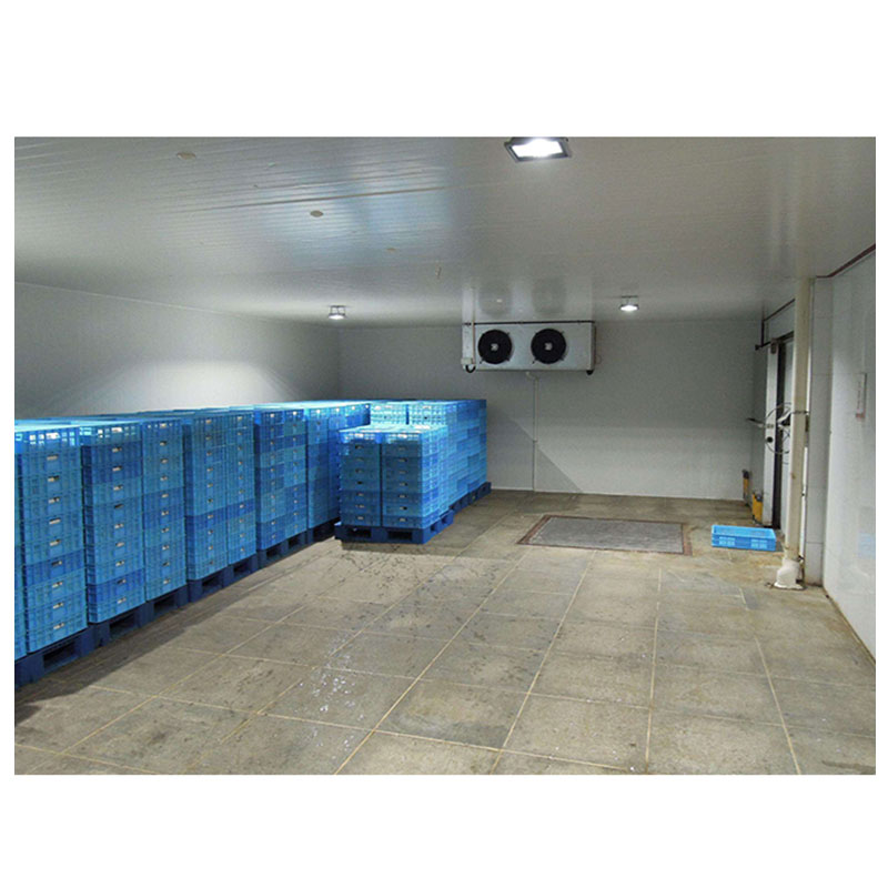 100CBM Commercial Refrigerated Walk-in Storage Cold Room for Fruit And Vegetable